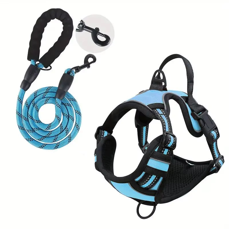 NightPaw Night Safety Walk Set - Harness + Lead Bundle