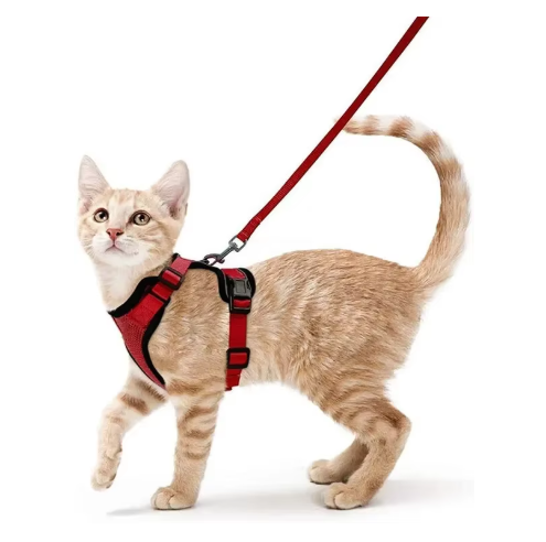 NightPaw Escape-Proof Cat Harness & Lead Set - Reflective Vest Style