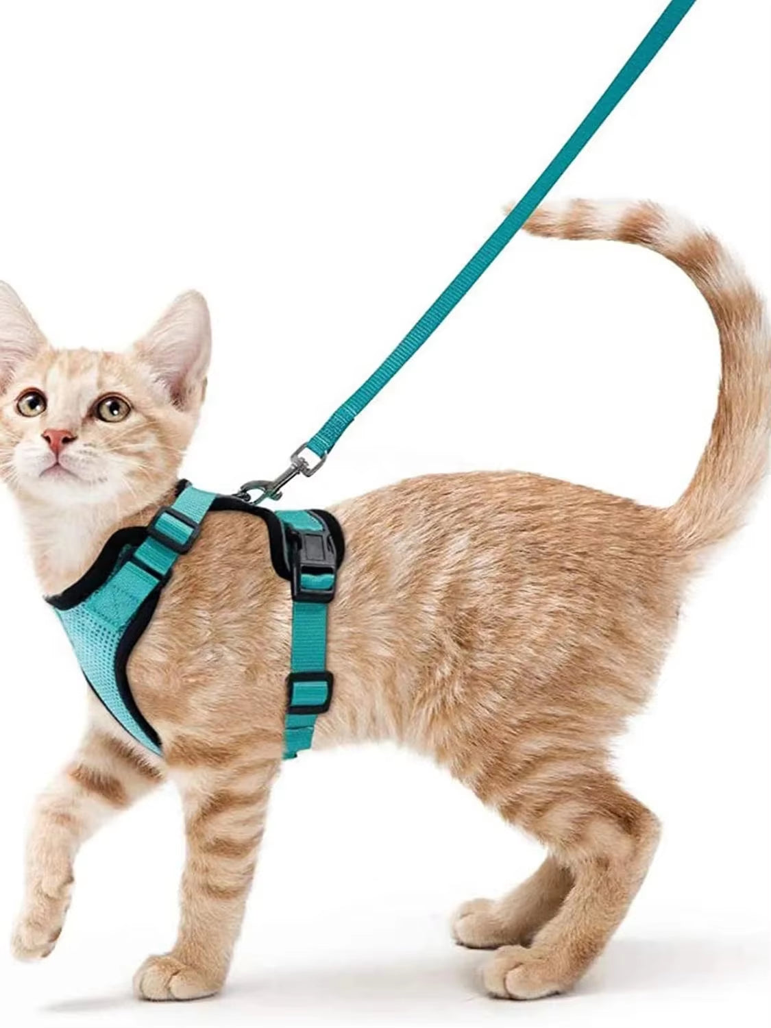 NightPaw Escape-Proof Cat Harness with Leash - Soft Adjustable Walking Vest
