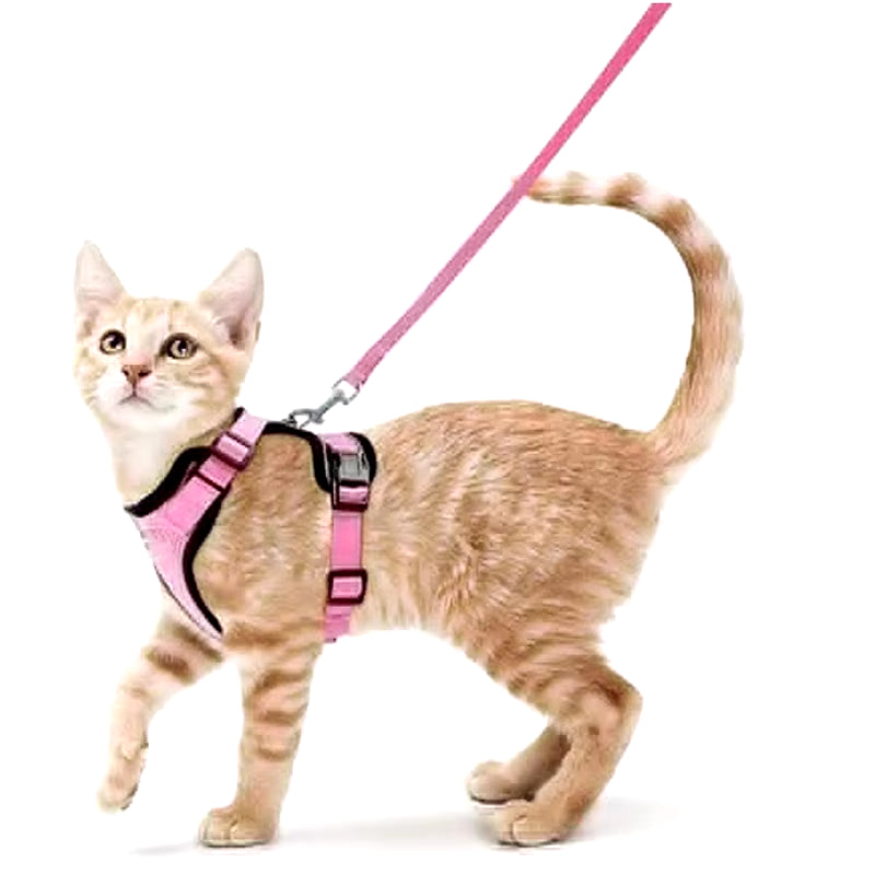 NightPaw Escape-Proof Cat Harness with Leash - Soft Adjustable Walking Vest