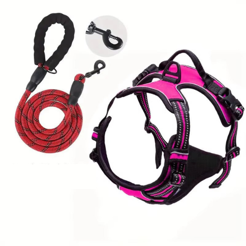NightPaw Night Safety Walk Set - Harness + Lead Bundle