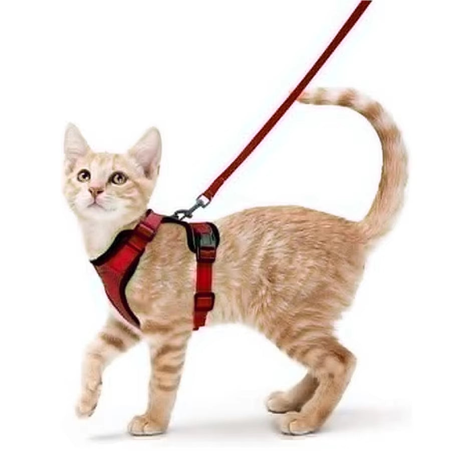 NightPaw Escape-Proof Cat Harness with Leash - Soft Adjustable Walking Vest