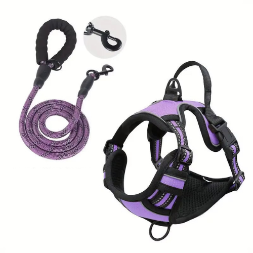 NightPaw Night Safety Walk Set - Harness + Lead Bundle