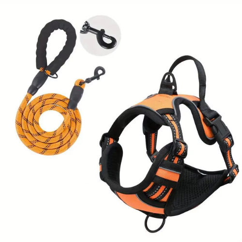 NightPaw Night Safety Walk Set - Harness + Lead Bundle