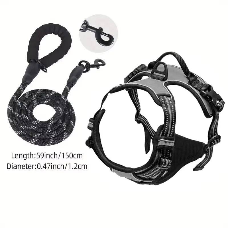 NightPaw Night Safety Walk Set - Harness + Lead Bundle