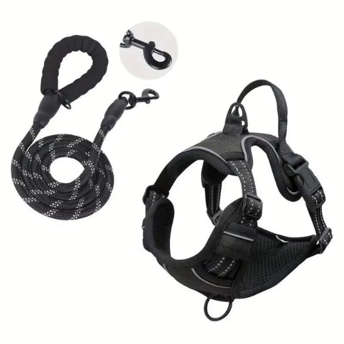 NightPaw Night Safety Walk Set - Harness + Lead Bundle