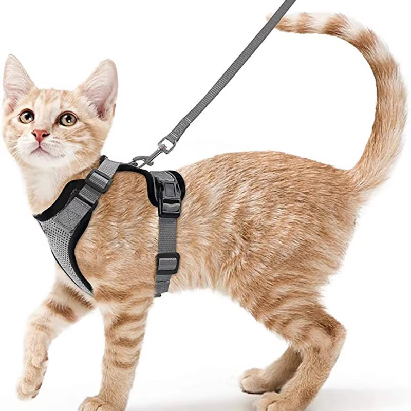 NightPaw Escape-Proof Cat Harness with Leash - Soft Adjustable Walking Vest