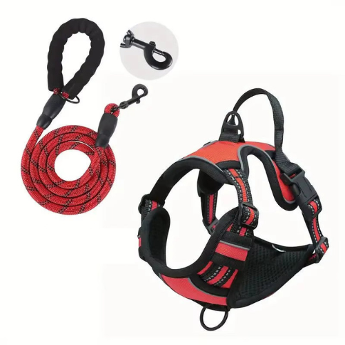 NightPaw Night Safety Walk Set - Harness + Lead Bundle
