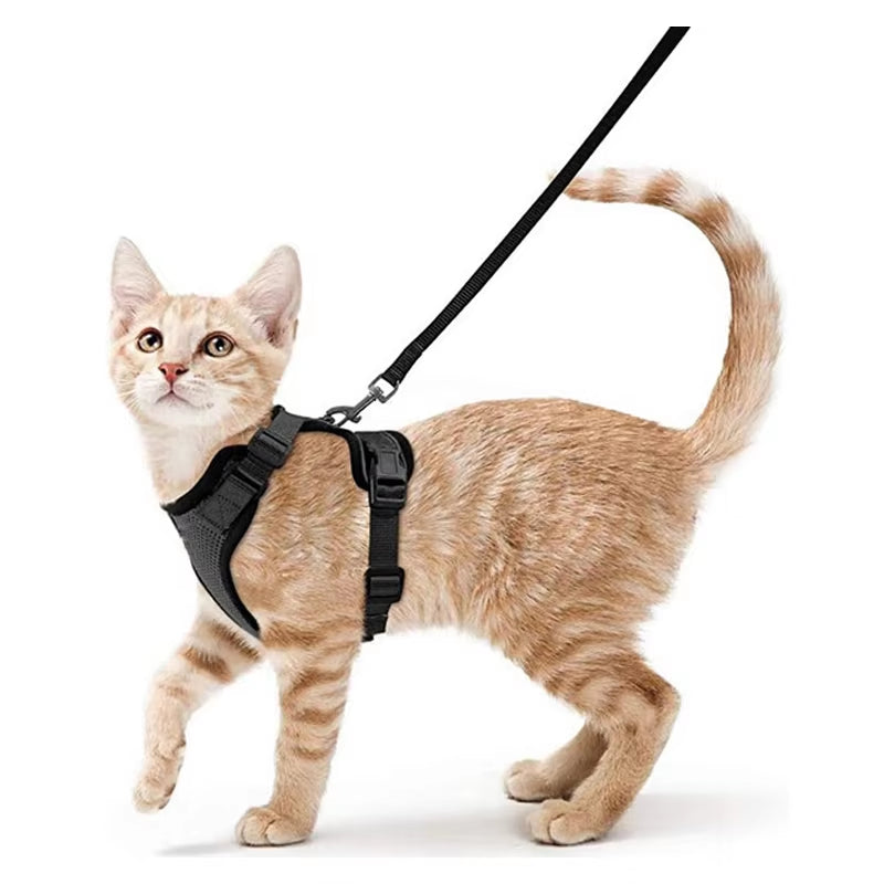 NightPaw Escape-Proof Cat Harness with Leash - Soft Adjustable Walking Vest