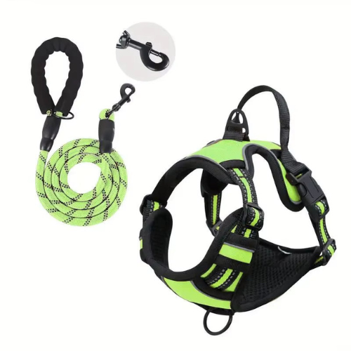 NightPaw Night Safety Walk Set - Harness + Lead Bundle