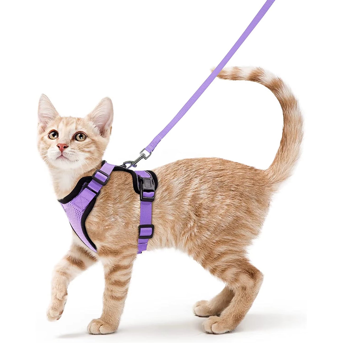 NightPaw Escape-Proof Cat Harness with Leash - Soft Adjustable Walking Vest