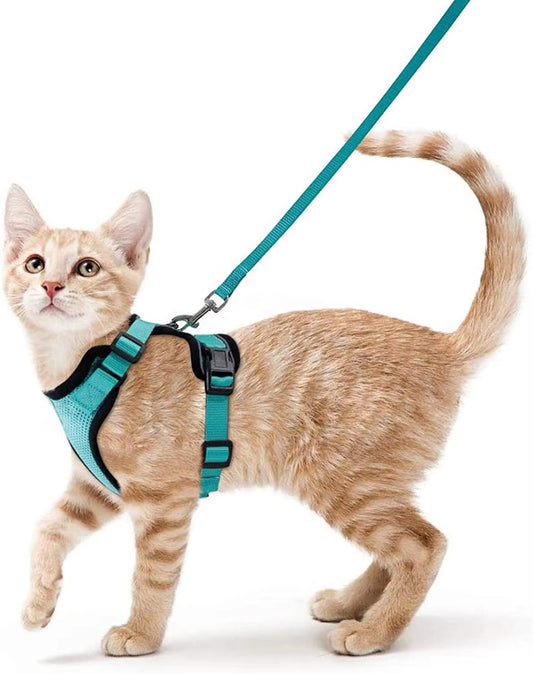 NightPaw Escape-Proof Cat Harness with Leash - Soft Adjustable Walking Vest