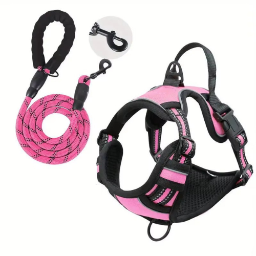 NightPaw Night Safety Walk Set - Harness + Lead Bundle