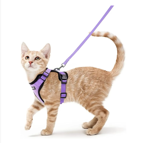 NightPaw Escape-Proof Cat Harness & Lead Set - Reflective Vest Style