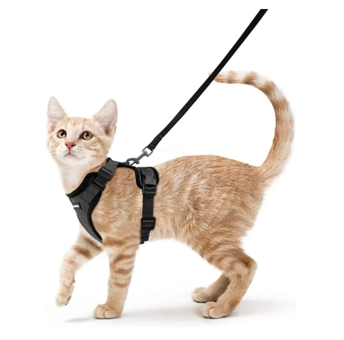 NightPaw Escape-Proof Cat Harness & Lead Set - Reflective Vest Style