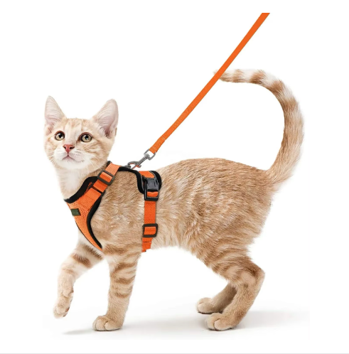NightPaw Escape-Proof Cat Harness & Lead Set - Reflective Vest Style