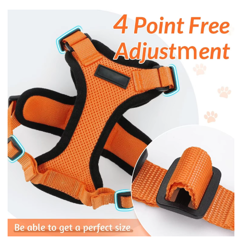 NightPaw Escape-Proof Cat Harness & Lead Set - Reflective Vest Style