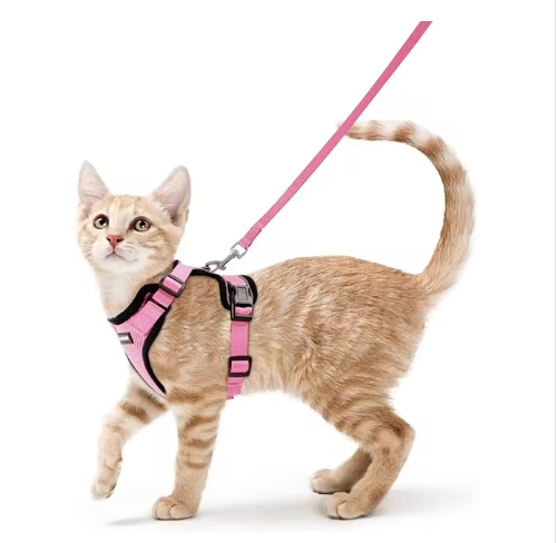 NightPaw Escape-Proof Cat Harness & Lead Set - Reflective Vest Style