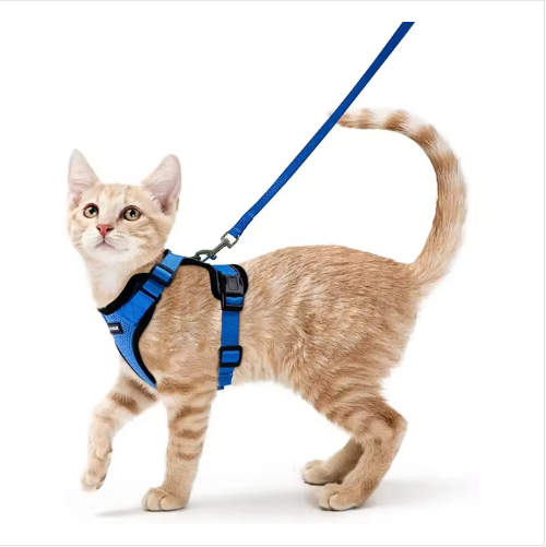 NightPaw Escape-Proof Cat Harness & Lead Set - Reflective Vest Style