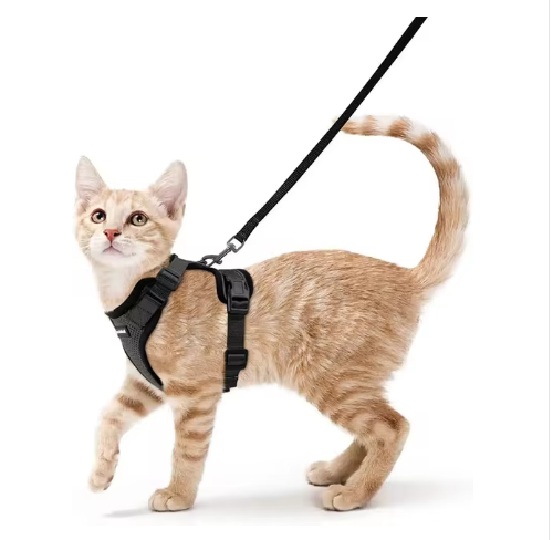 NightPaw Escape-Proof Cat Harness & Lead Set - Reflective Vest Style