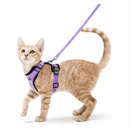 NightPaw Escape-Proof Cat Harness & Lead Set - Reflective Vest Style