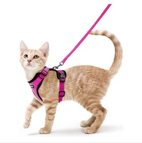 NightPaw Escape-Proof Cat Harness & Lead Set - Reflective Vest Style