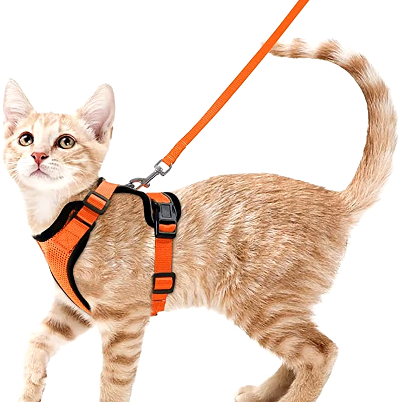 NightPaw Escape-Proof Cat Harness with Leash - Soft Adjustable Walking Vest