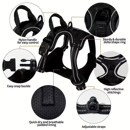 NightPaw Night Safety Walk Set - Harness + Lead Bundle