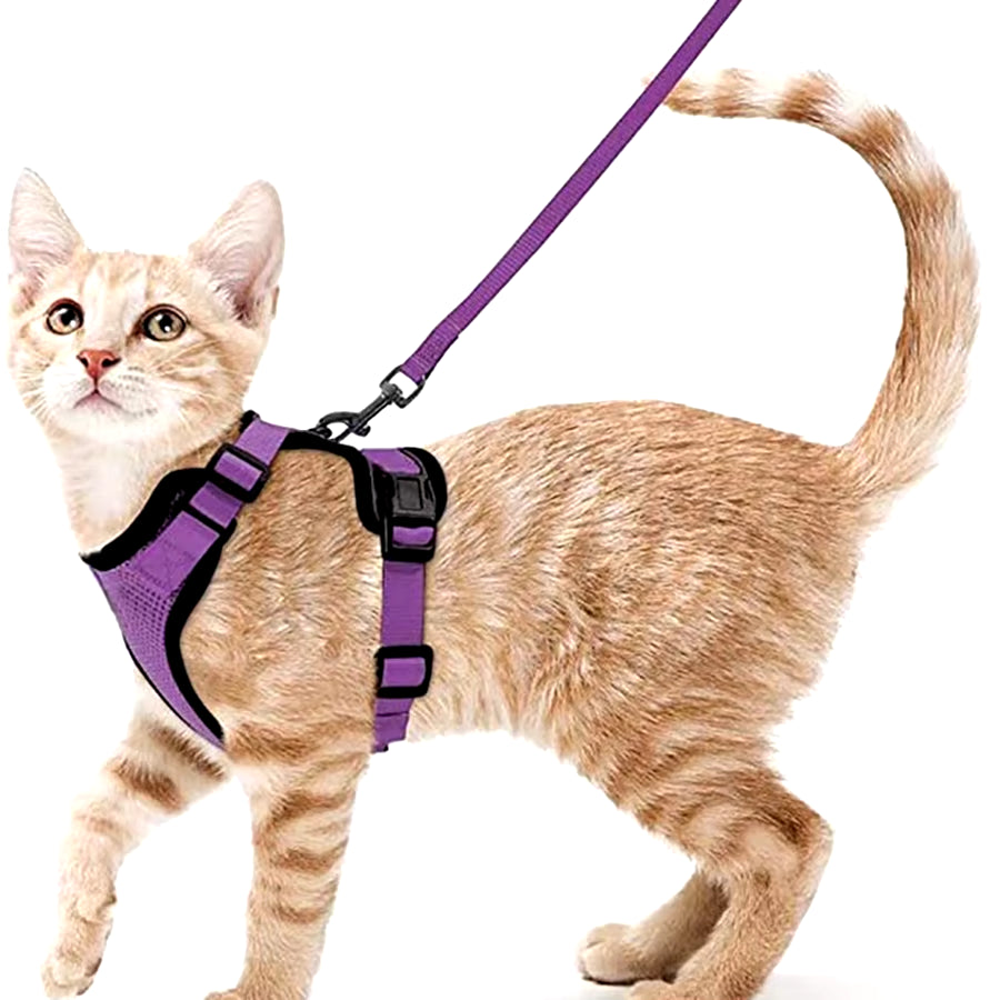 NightPaw Escape-Proof Cat Harness with Leash - Soft Adjustable Walking Vest