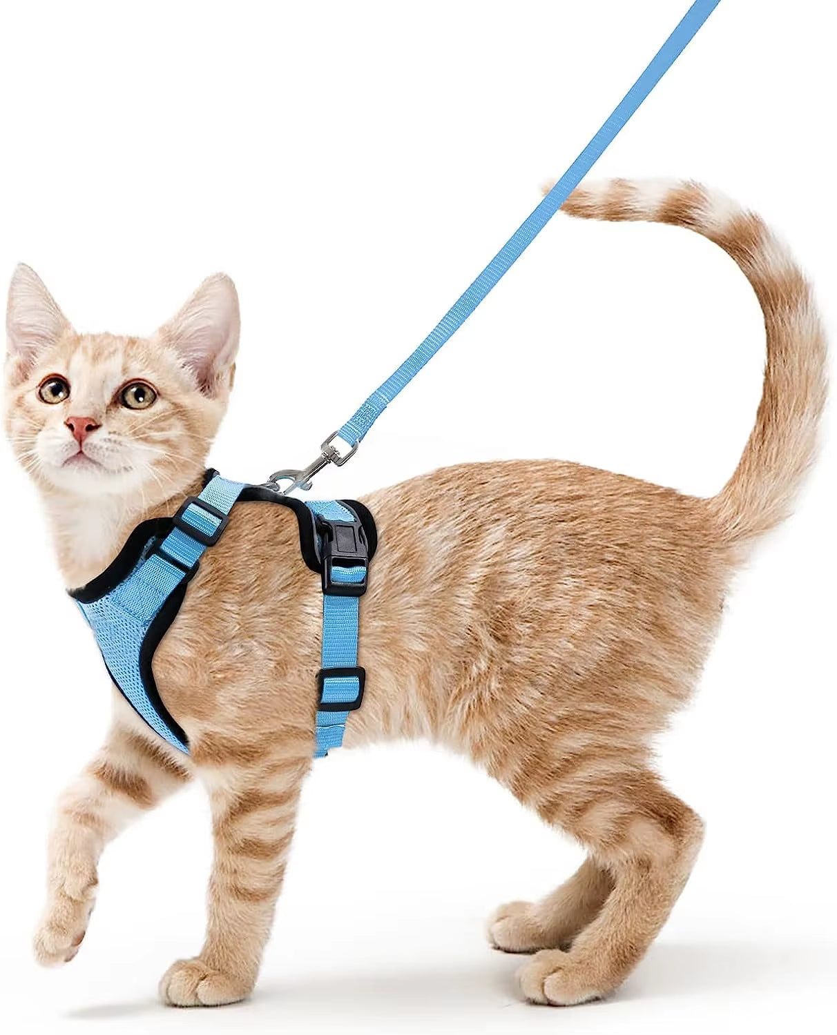 NightPaw Escape-Proof Cat Harness with Leash - Soft Adjustable Walking Vest