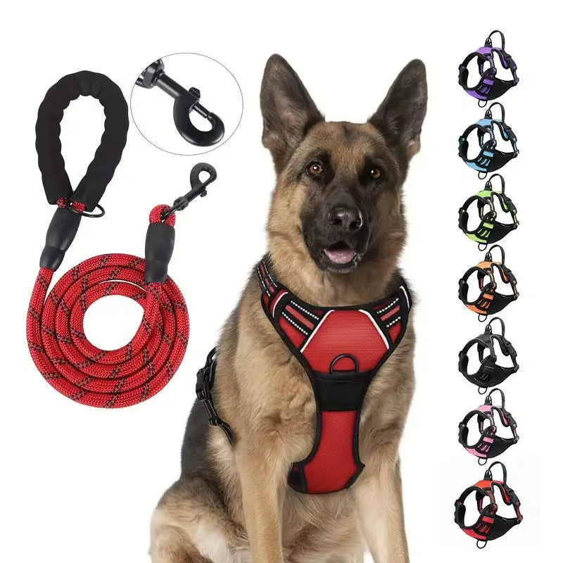 NightPaw Night Safety Walk Set - Harness + Lead Bundle